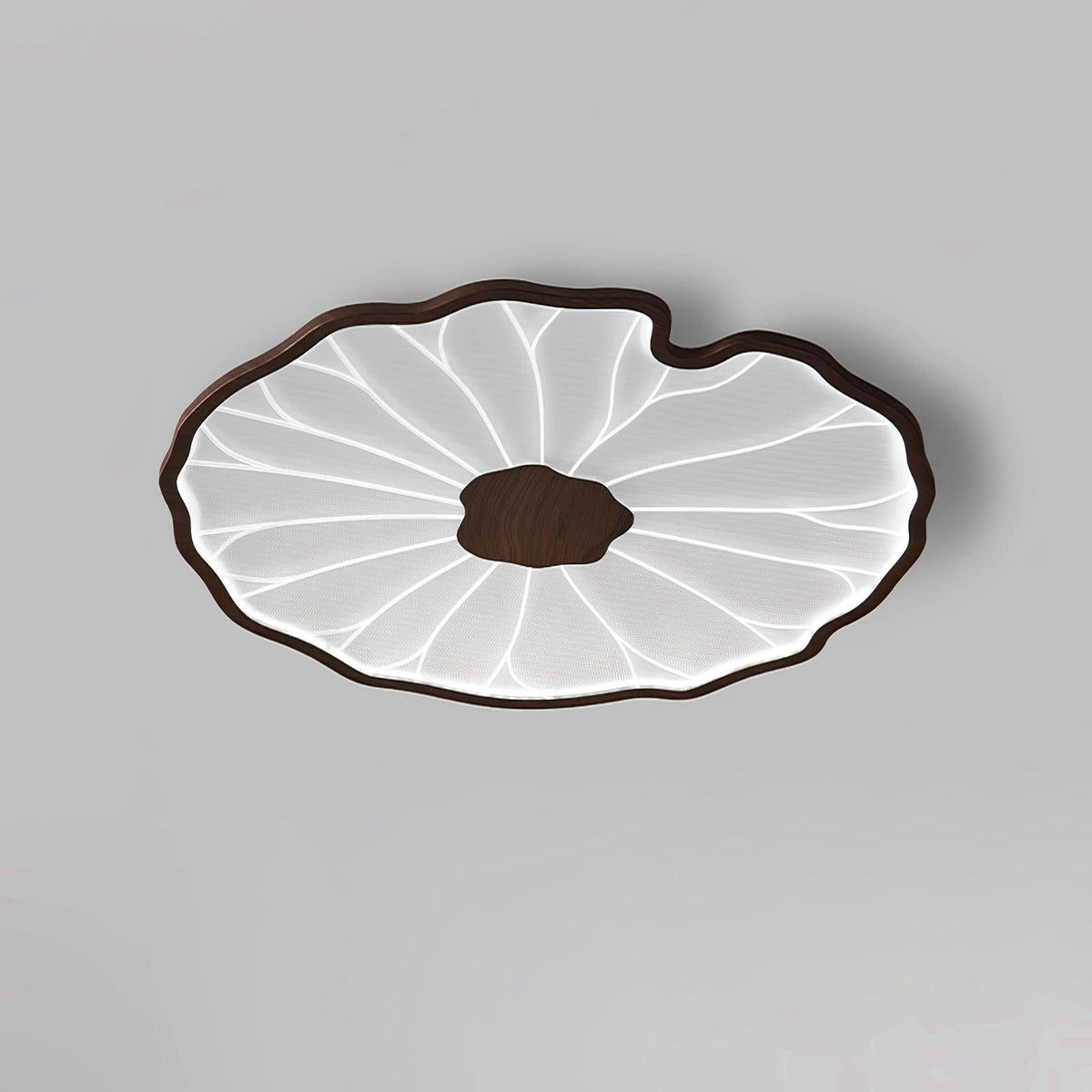 Plafonnier en forme de feuille de lotus, finition bois naturel, pour salon - schéma technique