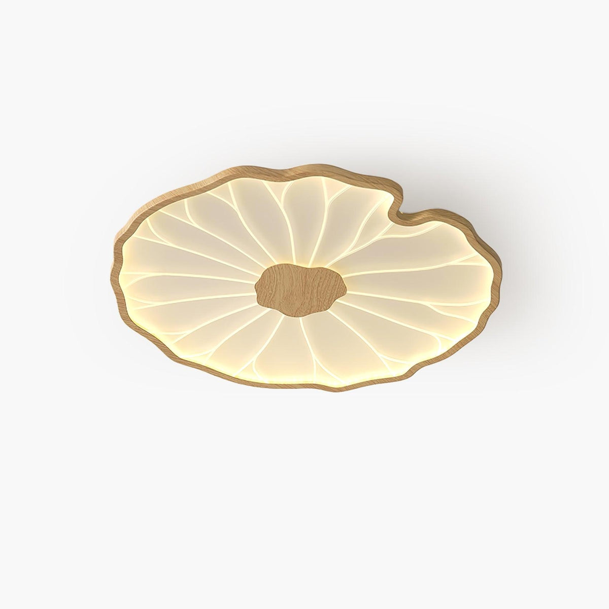 Plafonnier en forme de feuille de lotus, finition bois naturel, pour salon - rendu lumière froide